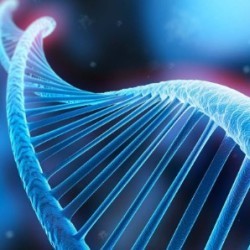 生物科技、細胞領(lǐng)域新業(yè)態(tài)講座