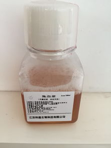 其它 價(jià)格 采購 供應(yīng)商信息