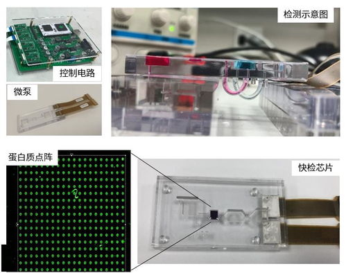 上海工研院微流控技術(shù)推進(jìn)生物芯片研發(fā)，引領(lǐng)生物科技新浪潮