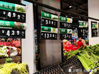 透視蔬菜漲價背后 從城市菜比肉貴到返鄉(xiāng)種菜潮