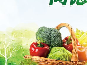 2018年全國食品安全宣傳周活動展板設計素材指南 從PSD模板到蔬菜零售專題展板